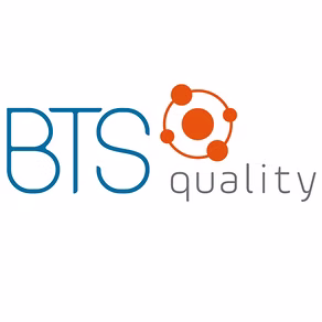 BTS Consulting